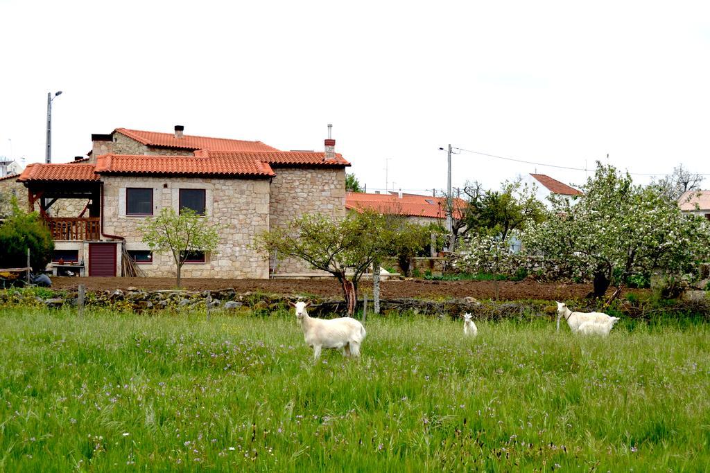 Carya Tallaya - Casas De Campo Vale das Eguas Exterior photo